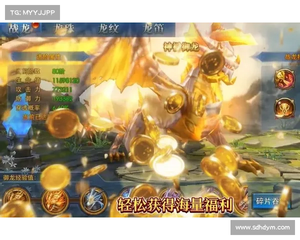 永恒纪元:超越技能,重塑战龙之道 永恒纪元:超越技能,重塑战龙之道