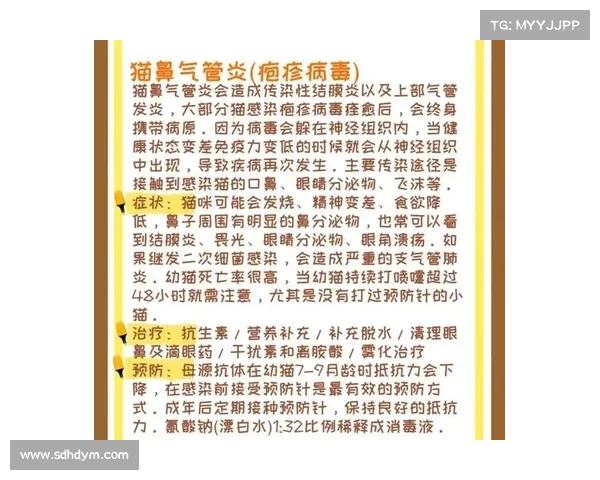 猫传染病治疗攻略:救猫小生命 猫传染病治疗攻略:救猫小生命