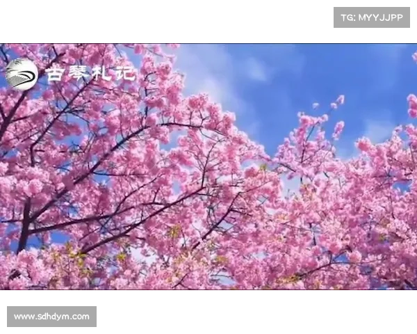 花之女神攻略 花之女神攻略